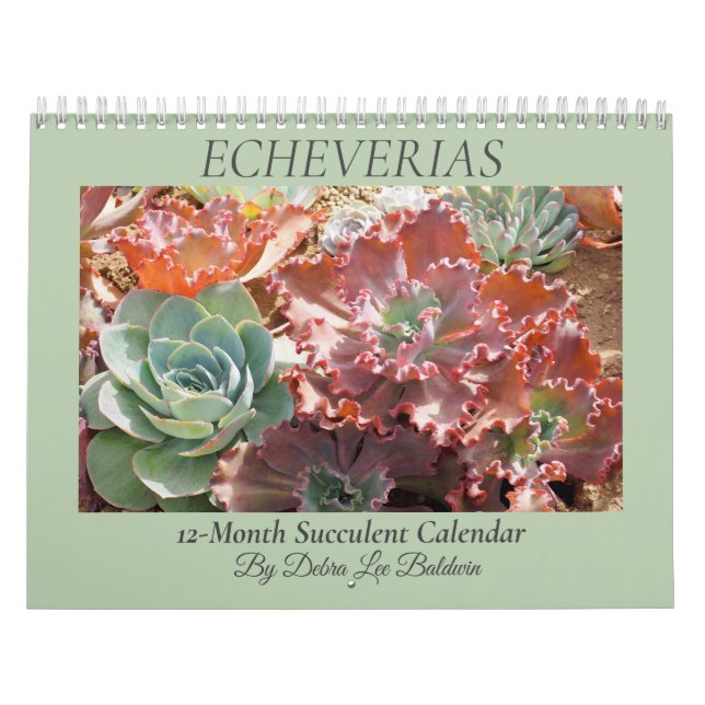 Echeverias Succulent 12 månader Kalender (Omslag)