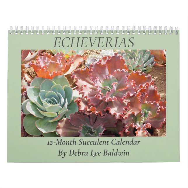 Echeverias: Succulents by Debra Lee Baldwin Kalender (Omslag)