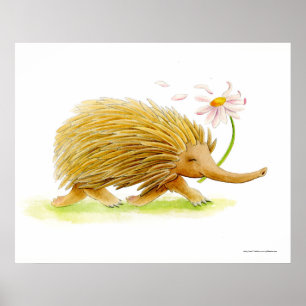 Echidna akvarell fantasifull konstaffisch poster