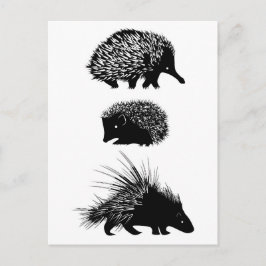 Echidna, hedgehog, porcupinvykort vykort