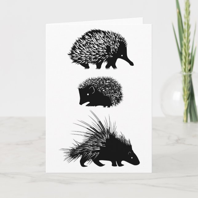 Echidna igelkott, porcupinehälsningkort kort (Framsida)
