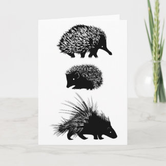 Echidna igelkott, porcupinehälsningkort kort