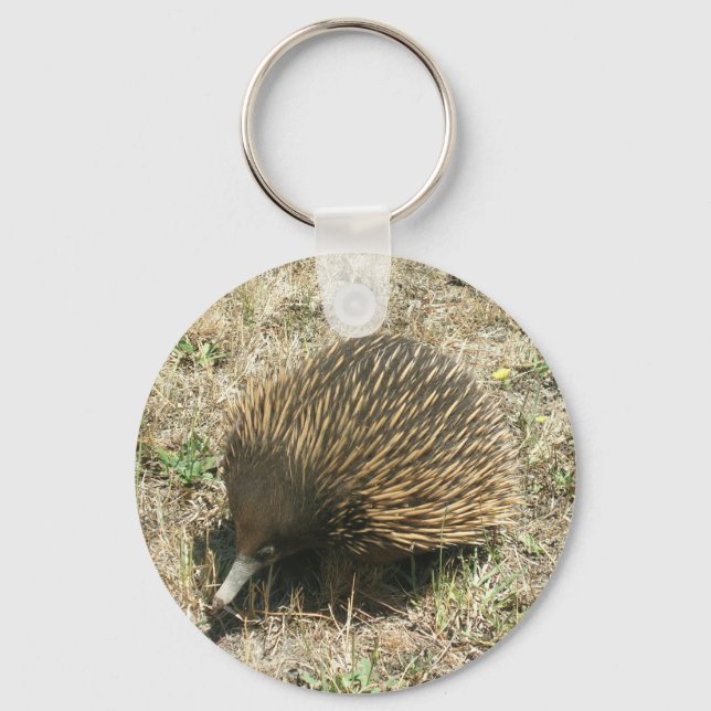 Echidna Nyckelring (Framsida)