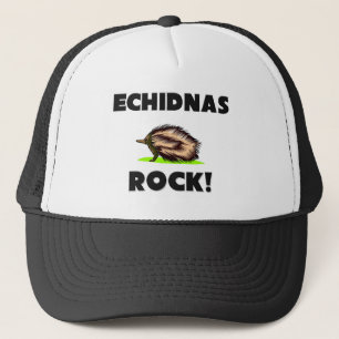 Echidnassten Keps