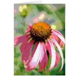 Echinacea Abstrakt Card Hälsningskort