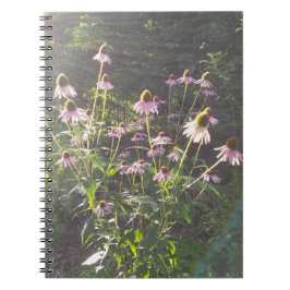 Echinacea blommor i solen anteckningsbok