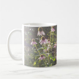 Echinacea blommor i solen kaffemugg