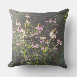 Echinacea blommor i solen kudde