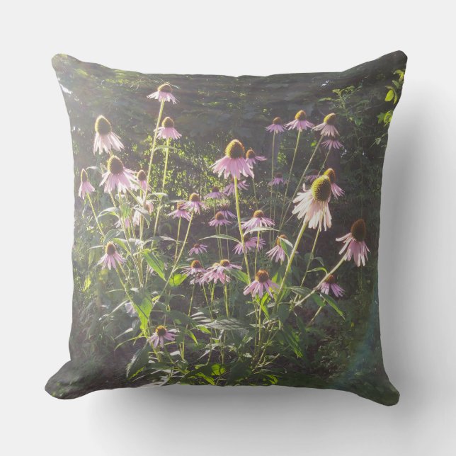 Echinacea blommor i solen kudde (Framsida)
