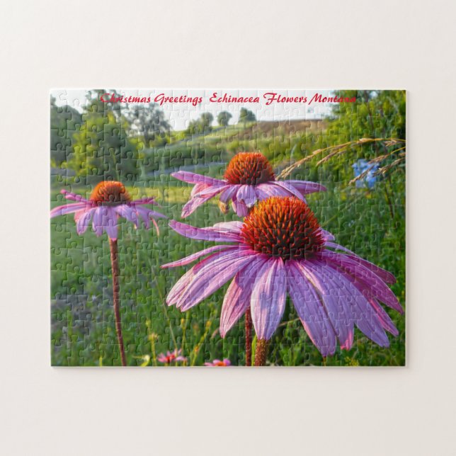 Echinacea Blommor Montana. Julhälsningar Pussel (Horisontell)