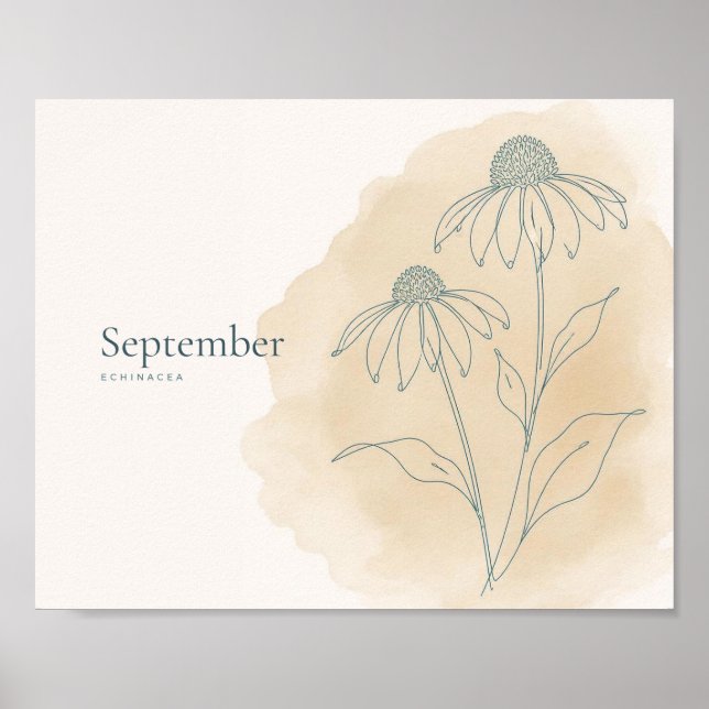 Echinacea Botaniskt Konsttryck | September Poster (Framsidan)