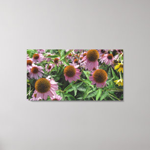 Echinacea Cone Flowers in Lila and Gult Canvastryck