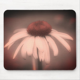 Echinacea Flower Vintage Black and White Musmatta