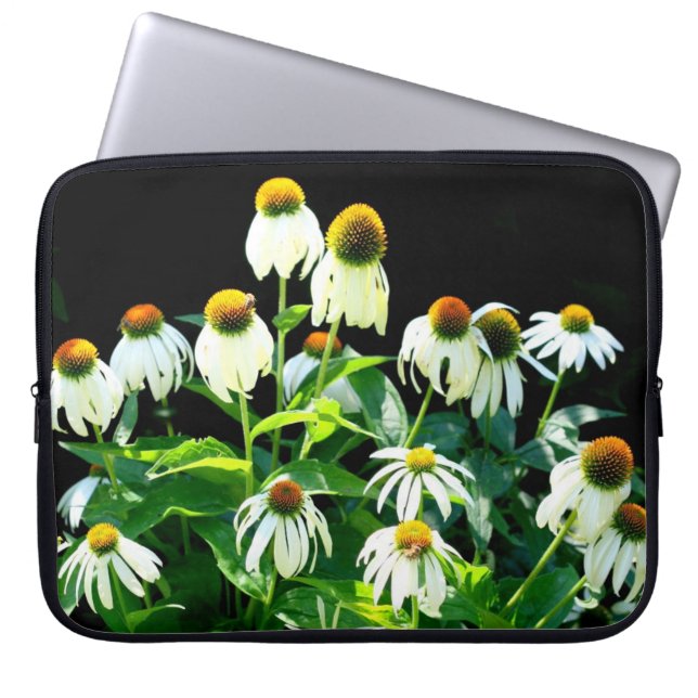 Echinacea Flowers i blomman fodral (Framsidan)