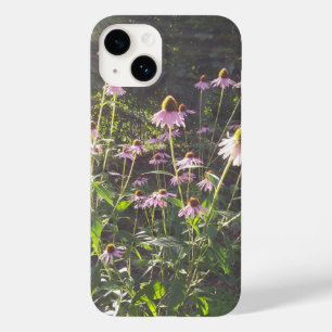 Echinacea Flowers i Sol