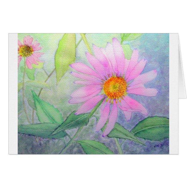 Echinacea i blom hälsningskort (Framsidan Horizontal)