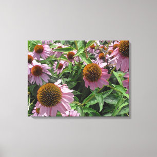 Echinacea Lila och Gult Cone Flowers Canvastryck