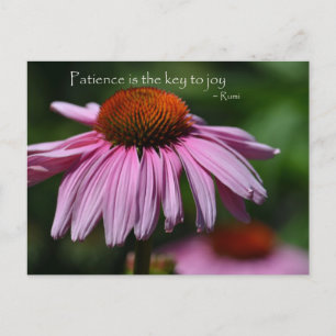 Echinacea med Patientcitat Vykort