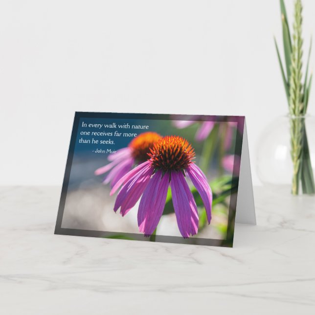 Echinacea Nature Blank Card Kort (Framsida)