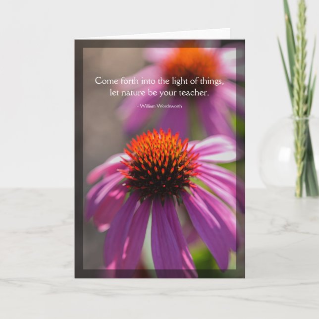 Echinacea Nature Blank Card Kort (Framsida)