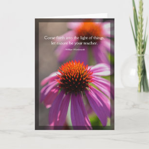 Echinacea Nature Blank Card Kort