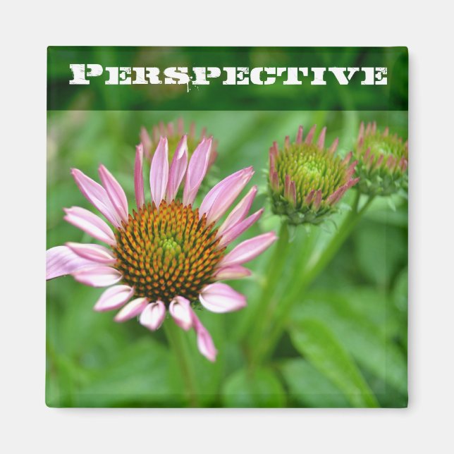 Echinacea Perspective Magnet (Framsidan)