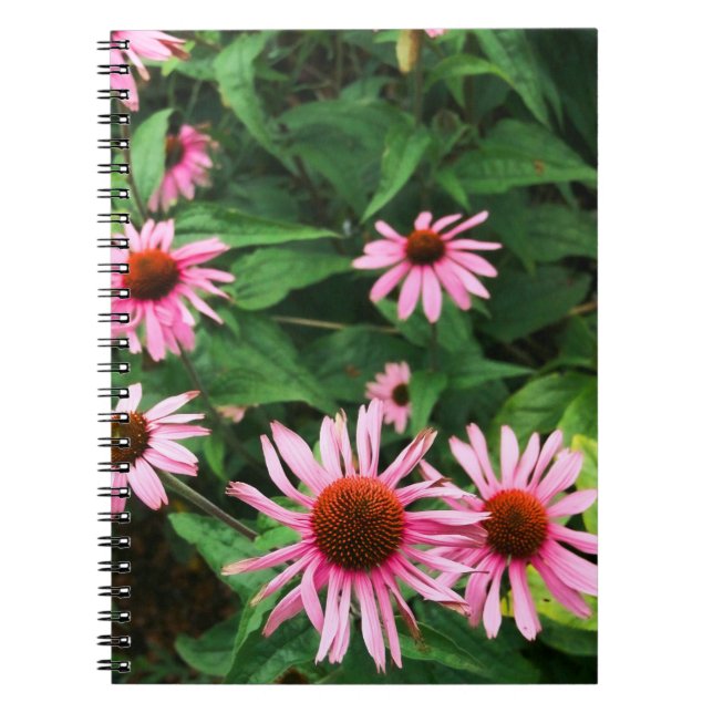 Echinacea Purpurea, Lila Coneflower Anteckningsbok (Framsidan)
