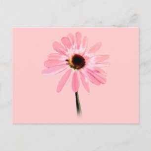 Echinacea purpurea vykort