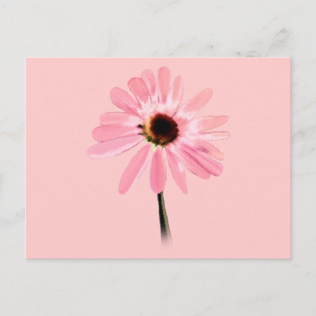 Echinacea purpurea vykort (Framsida)