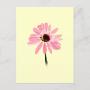 Echinacea purpurea vykort