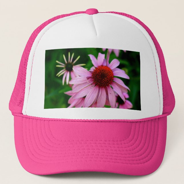 echinacea rosa Blomhat Keps (Framsida)