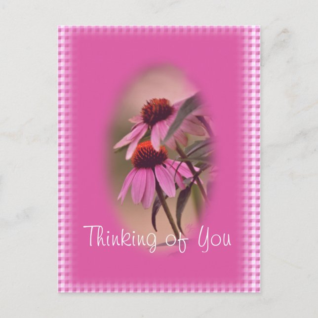 Echinacea & Seersucker Postcard - personalisera Vykort (Framsida)