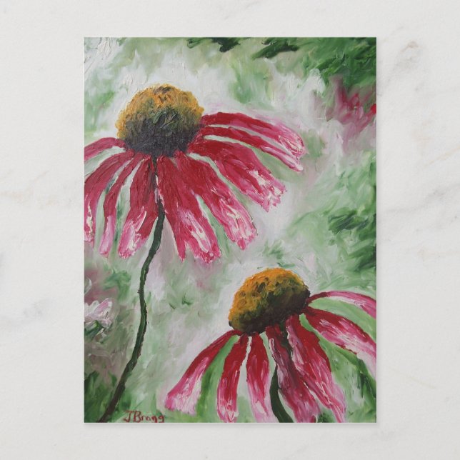Echinacea Vykort (Framsida)