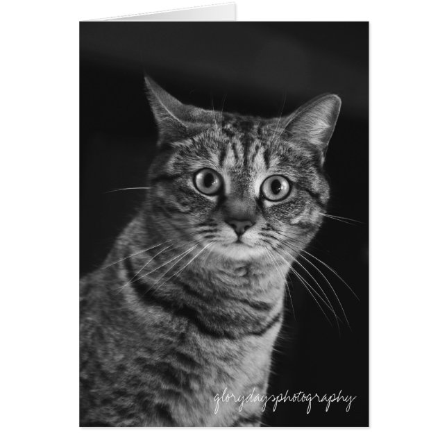 Echo, bw, D300, glorydaysphotografi Hälsningskort (Framsidan)