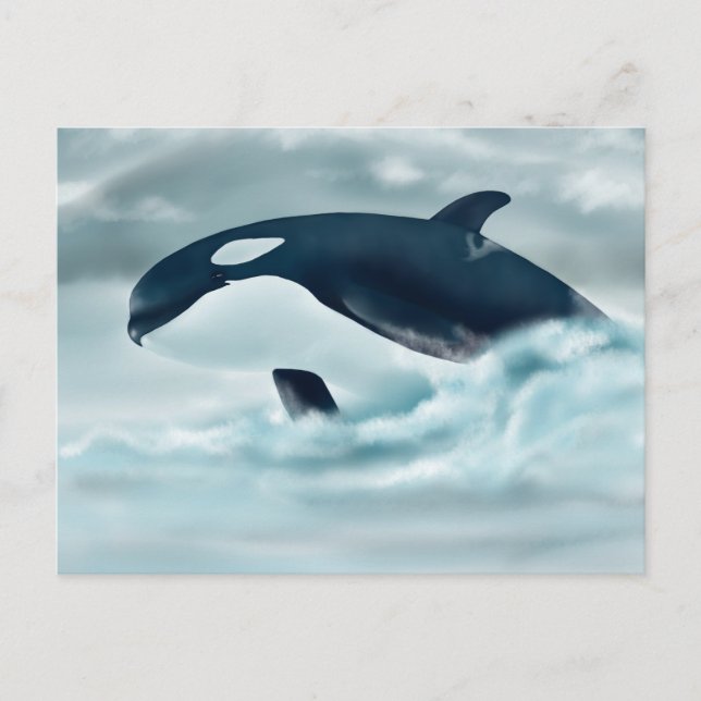 Echo (J42) vykort (Framsida)