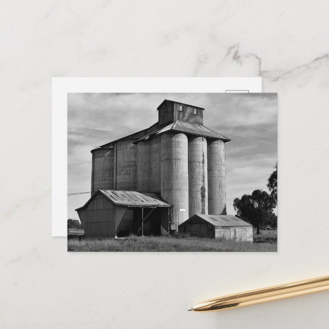 Echoes of the Harvest Vykort (Fram/Back In Situ)