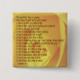 ECKLESIASTIK 3:1-8 3 KNAPP