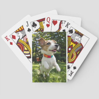 Éclat de Joie Canine Casinokort