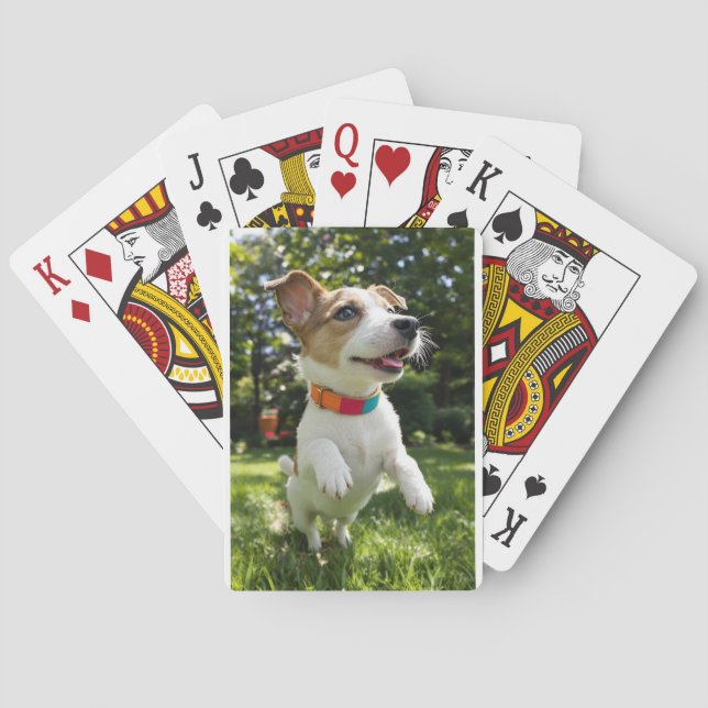 Éclat de Joie Canine Casinokort (Baksidan)