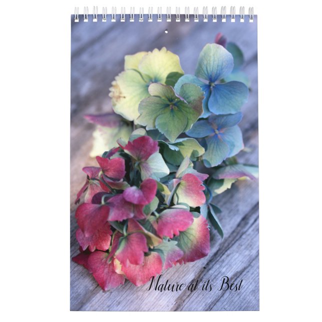 Eclectic Nature Calendar  Kalender (Omslag)