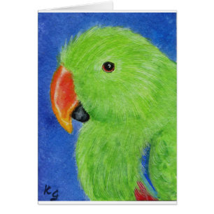 Eclectus papegoja hälsningskort