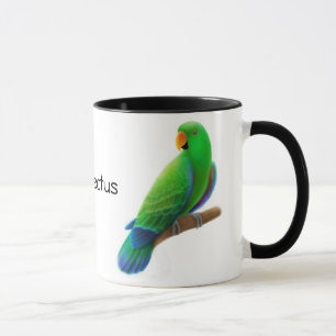 Eclectus papegojamugg mugg