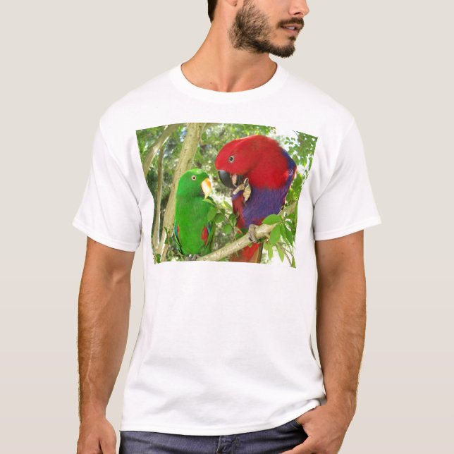 Eclectus parar tee (Framsida)