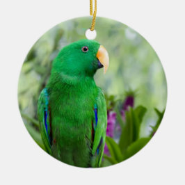 Eclectus Parrot Male Julgransprydnad Keramik