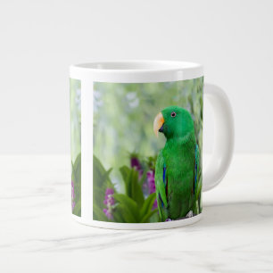 Eclectus Parrot Male Jumbo Mugg