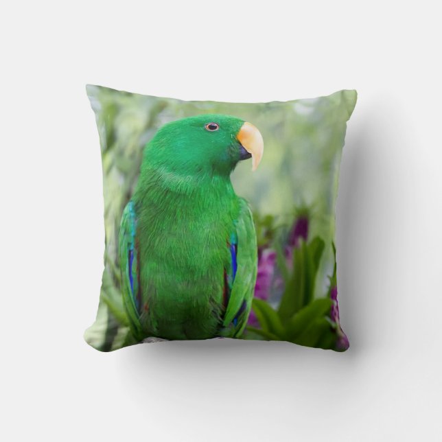 Eclectus Parrot Male Kudde (Framsida)