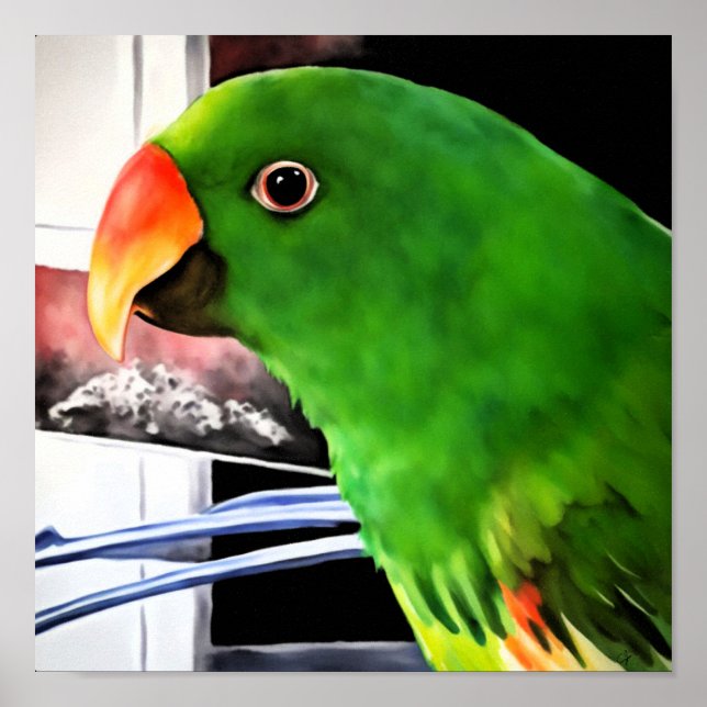 Eclectus Parrot Square Poster (Framsidan)