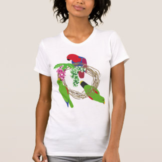 Eclectus Parrot Tröja