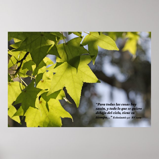 Eclesiastes 3:1 con Hojas Poster (Framsidan)
