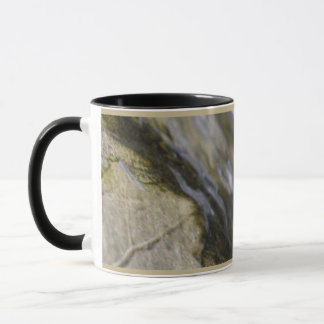 Eclipse Mugg